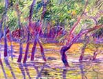 Another Spring, Jenkins Ferry (oil pastel) 1993