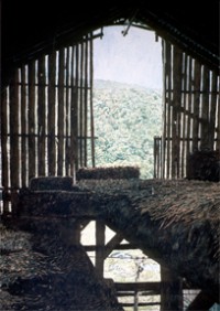 Hubert's Barn