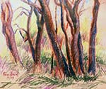 Grove of Trees, Saline River I (oil pastel) 2003